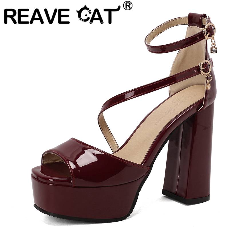 REAVE CAT Brand Shoes Women Su - مراجعة Women'S Fashion Brands وسعره