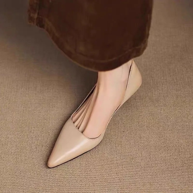 Women's Pointed Toe Stiletto H - مراجعة Women'S Fashion Footwear وسعره